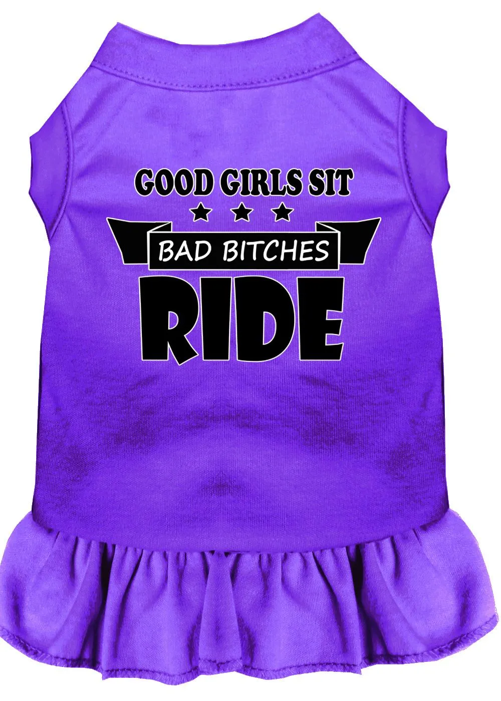 Bitches Ride Screen Print Dog Dress Purple Sm (10)