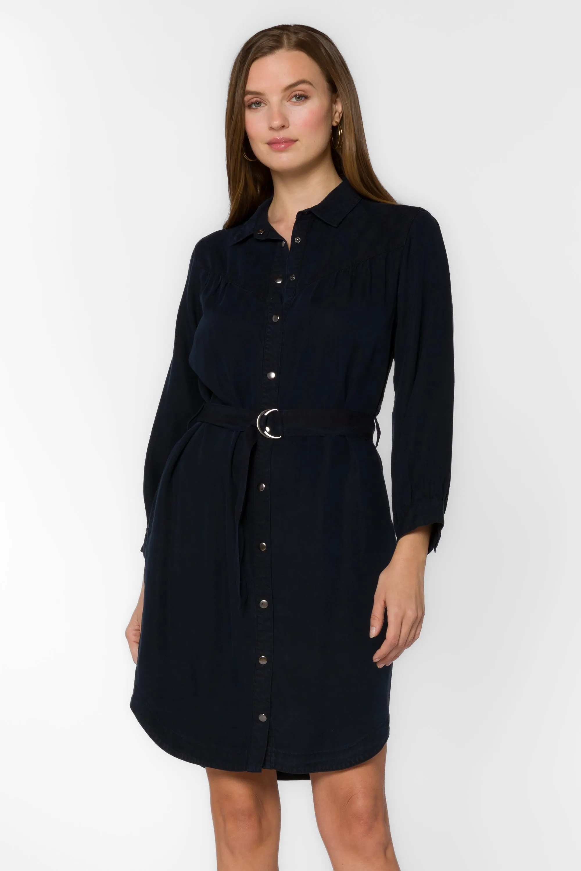 Dessa Overdye Indigo Shirtdress