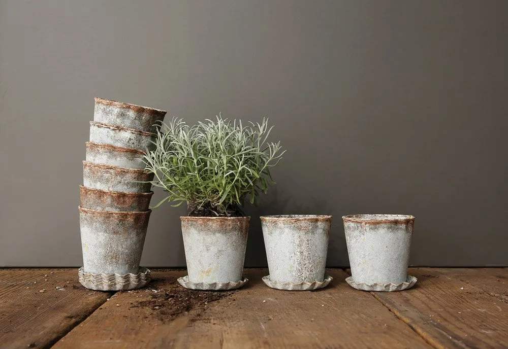 Distressed Zinc Metal Pot w/ Pleated Saucer