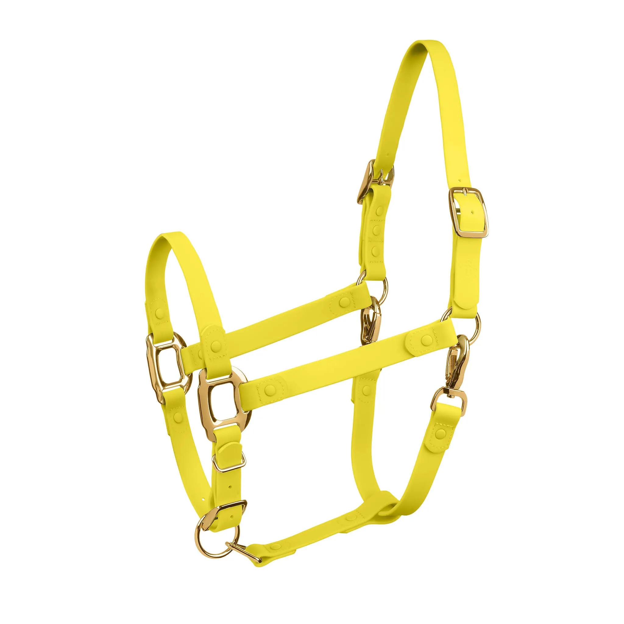 iCavalos Horse Halter